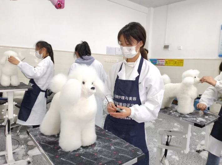 微信截图_20221205100216.png