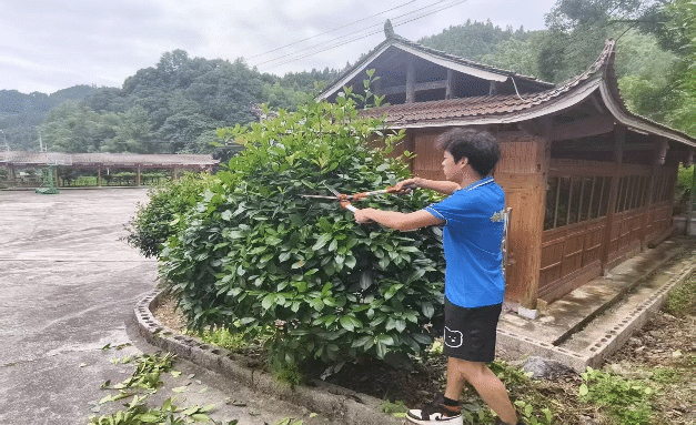 青春汗水润乡土7.png