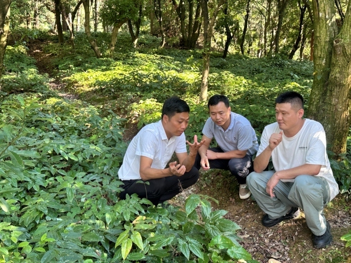 社dafa大发手机版app下载实践座谈dafa大发手机版app下载3.png