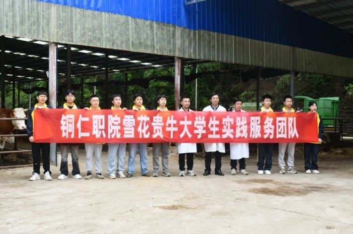 图片11.png