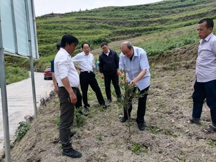 微信图片_20220602105824.png