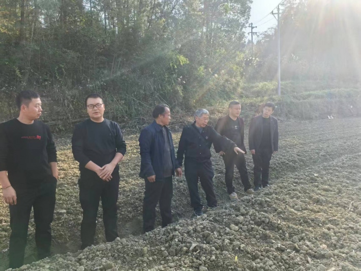 图片13.png