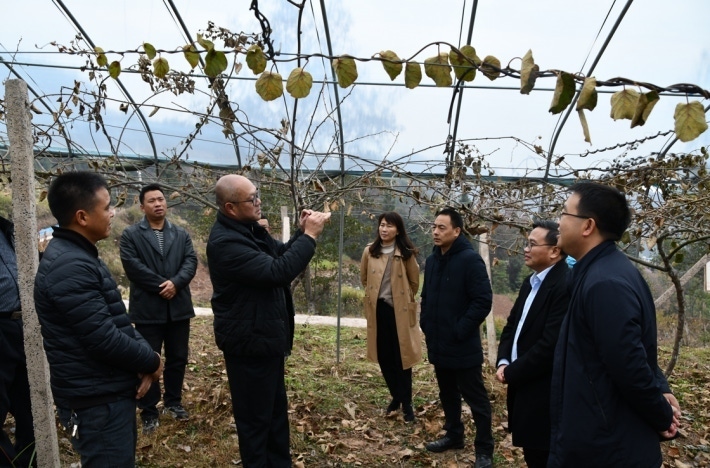 微信截图_20221211183030.png