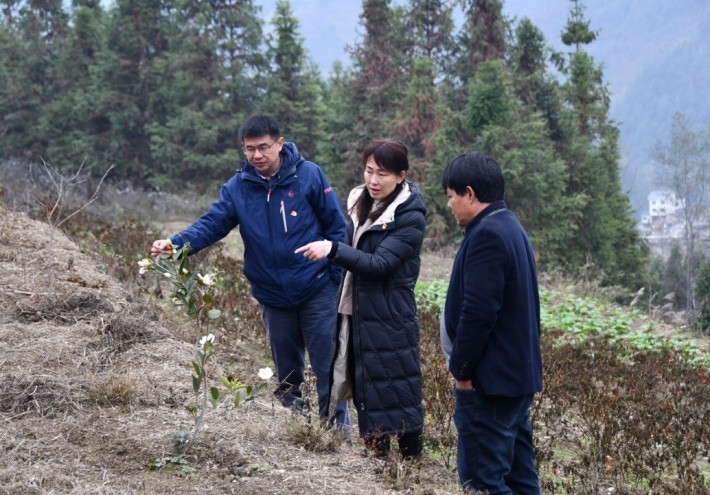 微信图片_20221209173325.png