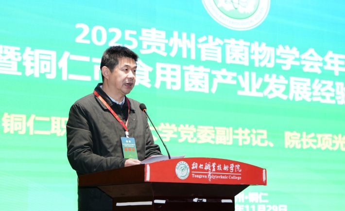 2c4022ea-eae8-487a-aebd-34094a7970fa.png